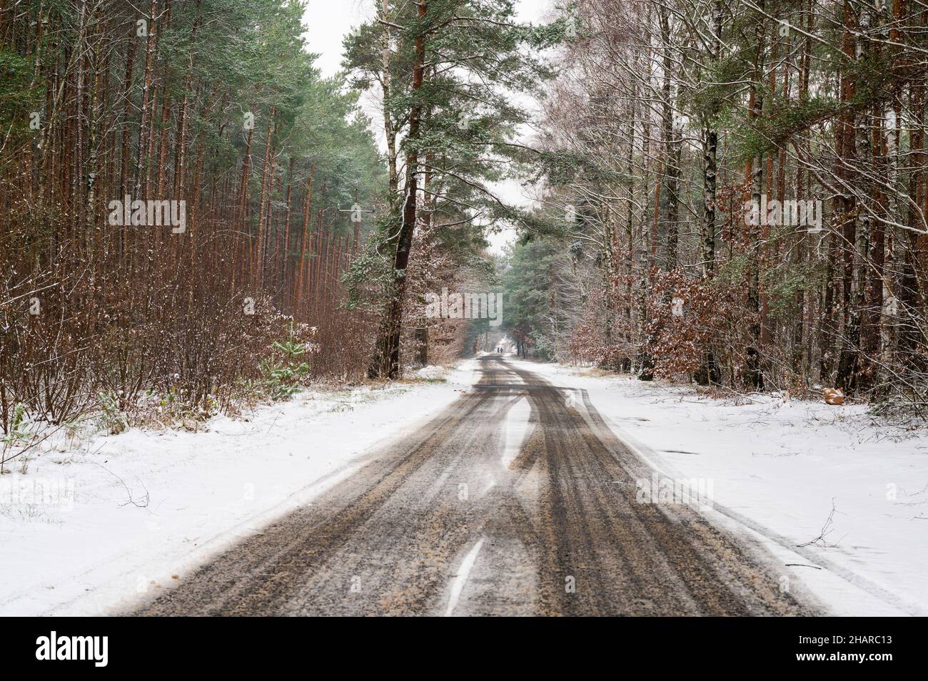 Eine verschneite Straße durch einen Winterwald Stockfoto