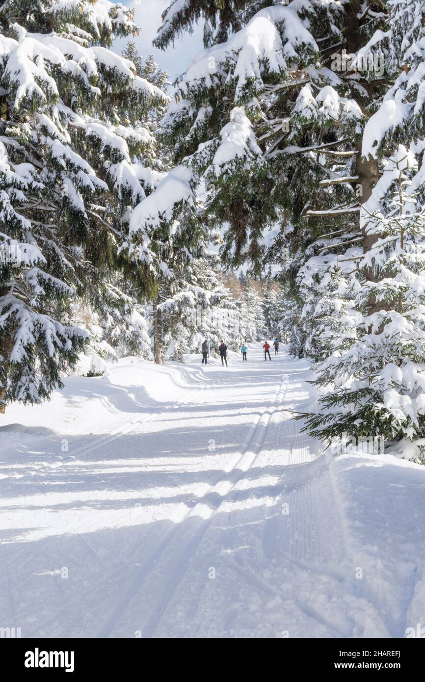 Winterlandschaft in den Bergen. Bäume im Wald mit Reif und Schnee bedeckt, Skifahrer auf der Piste. Isergebirge, Jakuszyce, Polen, Europa. Stockfoto