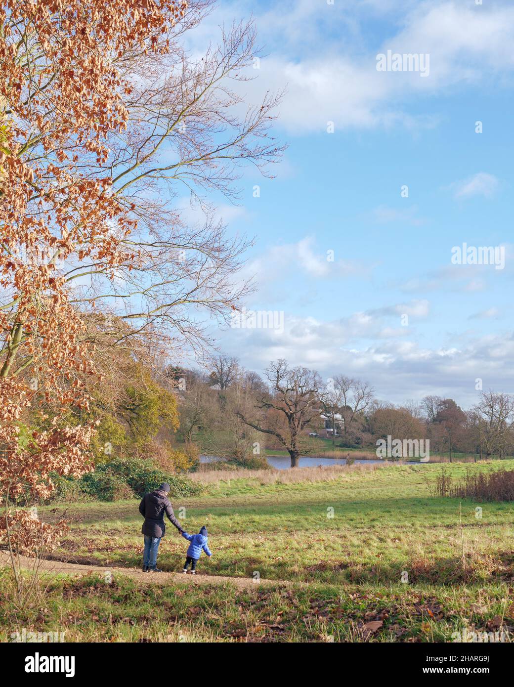 Vater und Kleinkind gehen an einem sonnigen Herbsttag auf Hampstead Heath, London. Stockfoto