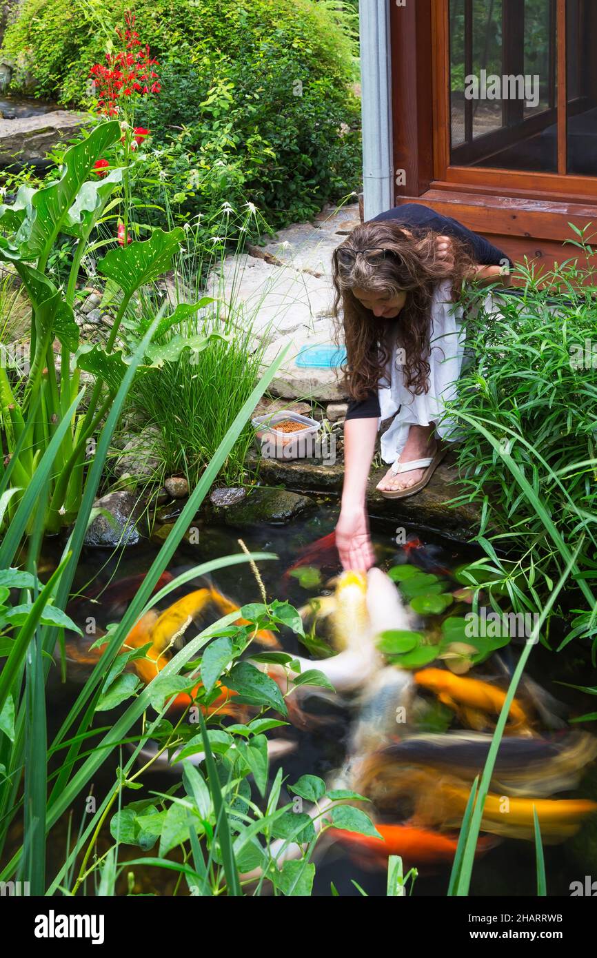 Dichromena colorata Fotos und Bildmaterial in hoher Auflösung Alamy