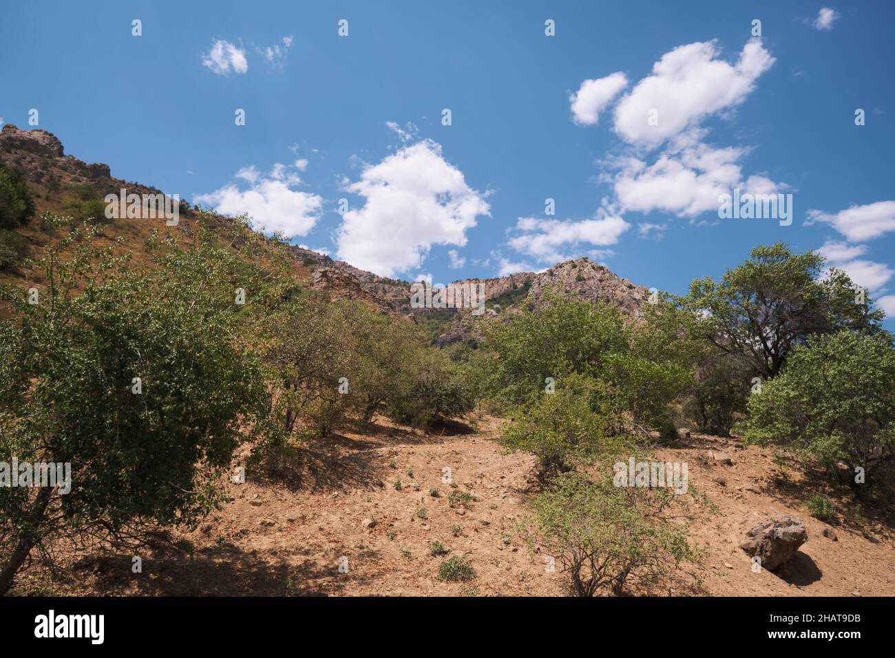 Das trockene, steile Gelände mit Gestrüpp im heißen Sommer. Im Gebiet des Charvak-Sees in der Nähe von Taschkent, Usbekistan. Stockfoto