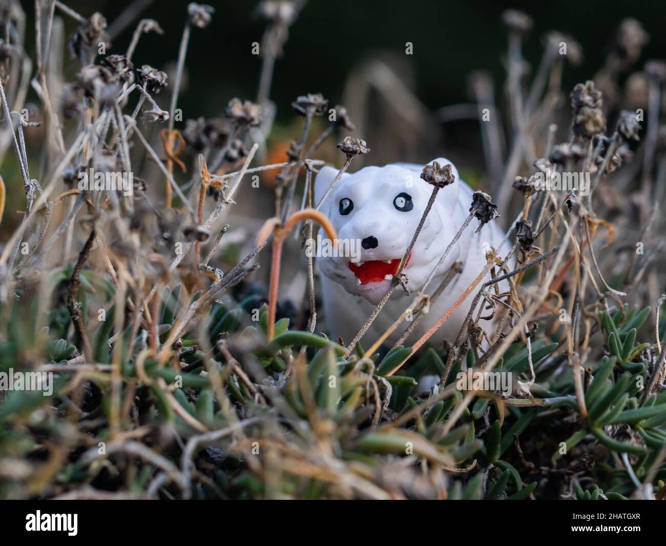 Nahaufnahme eines Gummispielzeug-Tigers im Gras Stockfoto