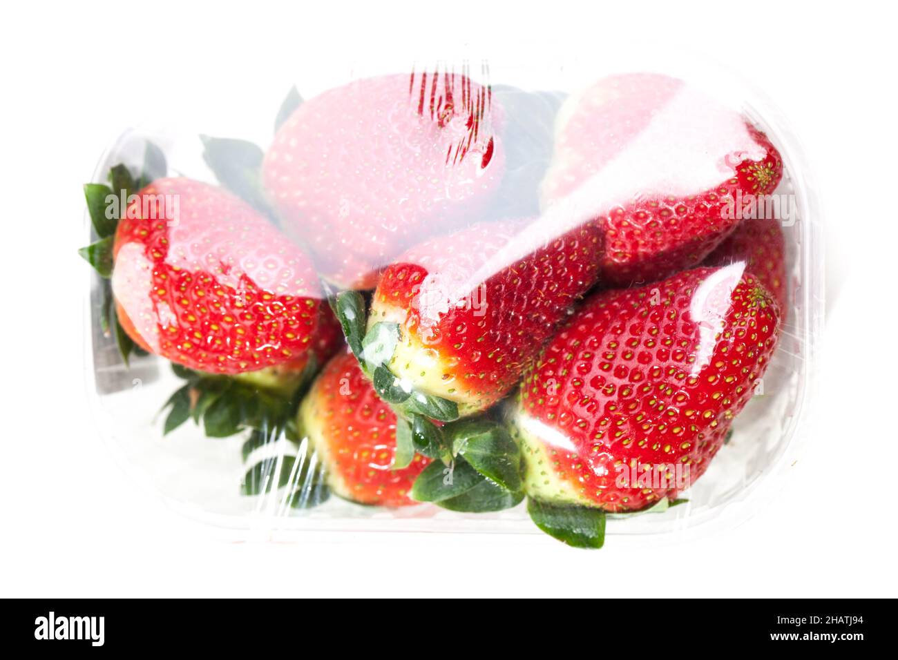 Erdbeeren, Folie, Kunststoff, künstlich, Lebensmittel, Obst, weiß, Hintergrund, Massenproduktion, oben, Luftaufnahme, packend, verpackt, perspektivisch, Erdbeere Stockfoto