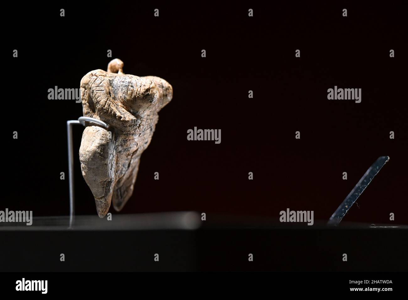 15. Dezember 2021, Baden-Württemberg, Blaubeuren: Die älteste figurative Darstellung eines Menschen der Welt steht in einer beleuchteten Vitrine. Die sogenannte Venus der Hohen Fels ist etwa sechs Zentimeter hoch, aus Mammutelfenbein gefertigt und rund 40.000 Jahre alt. Die geschnitzte Venusfigur wurde im September 2008 bei Ausgrabungen in der Hohle Fels Karsthöhle am südlichen Fuße der Schwäbischen Alb bei Schelklingen entdeckt. Die Venusfigur stammt aus der oberpaläolithischen Kultur des Aurignacian. Das Prähistorische Museum (urmu) im UNESCO-Weltkulturerbe wird sein Stockfoto