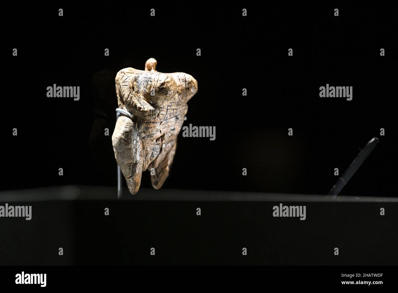 15. Dezember 2021, Baden-Württemberg, Blaubeuren: Die älteste figurative Darstellung eines Menschen der Welt steht in einer beleuchteten Vitrine. Die sogenannte Venus der Hohen Fels ist etwa sechs Zentimeter hoch, aus Mammutelfenbein gefertigt und rund 40.000 Jahre alt. Die geschnitzte Venusfigur wurde im September 2008 bei Ausgrabungen in der Hohle Fels Karsthöhle am südlichen Fuße der Schwäbischen Alb bei Schelklingen entdeckt. Die Venusfigur stammt aus der oberpaläolithischen Kultur des Aurignacian. Das Prähistorische Museum (urmu) im UNESCO-Weltkulturerbe wird sein Stockfoto