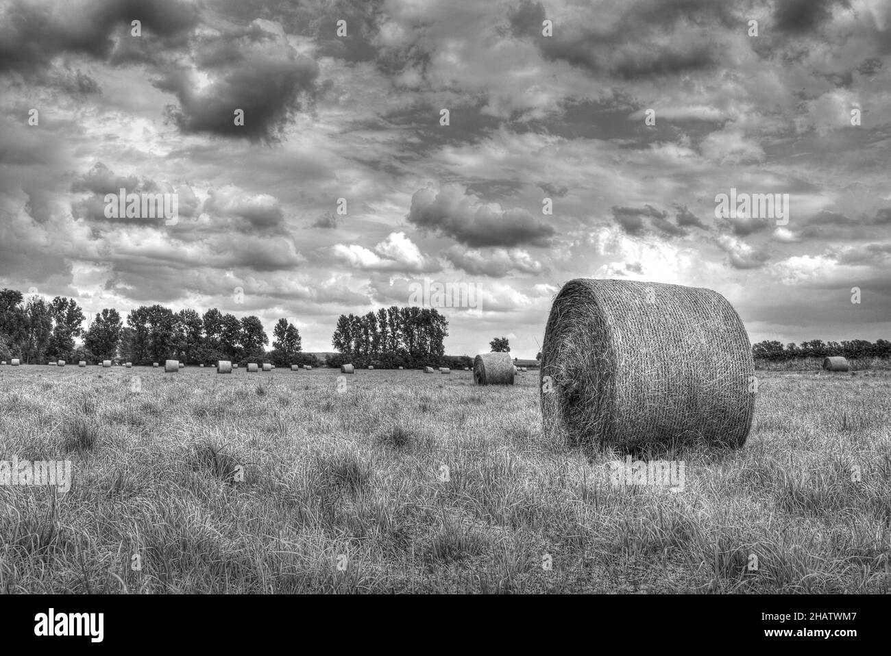 Unheimliche Landschaft von Heuhaufen auf einem landwirtschaftlichen Feld an einem bewölkten Tag, Graustufenaufnahme Stockfoto