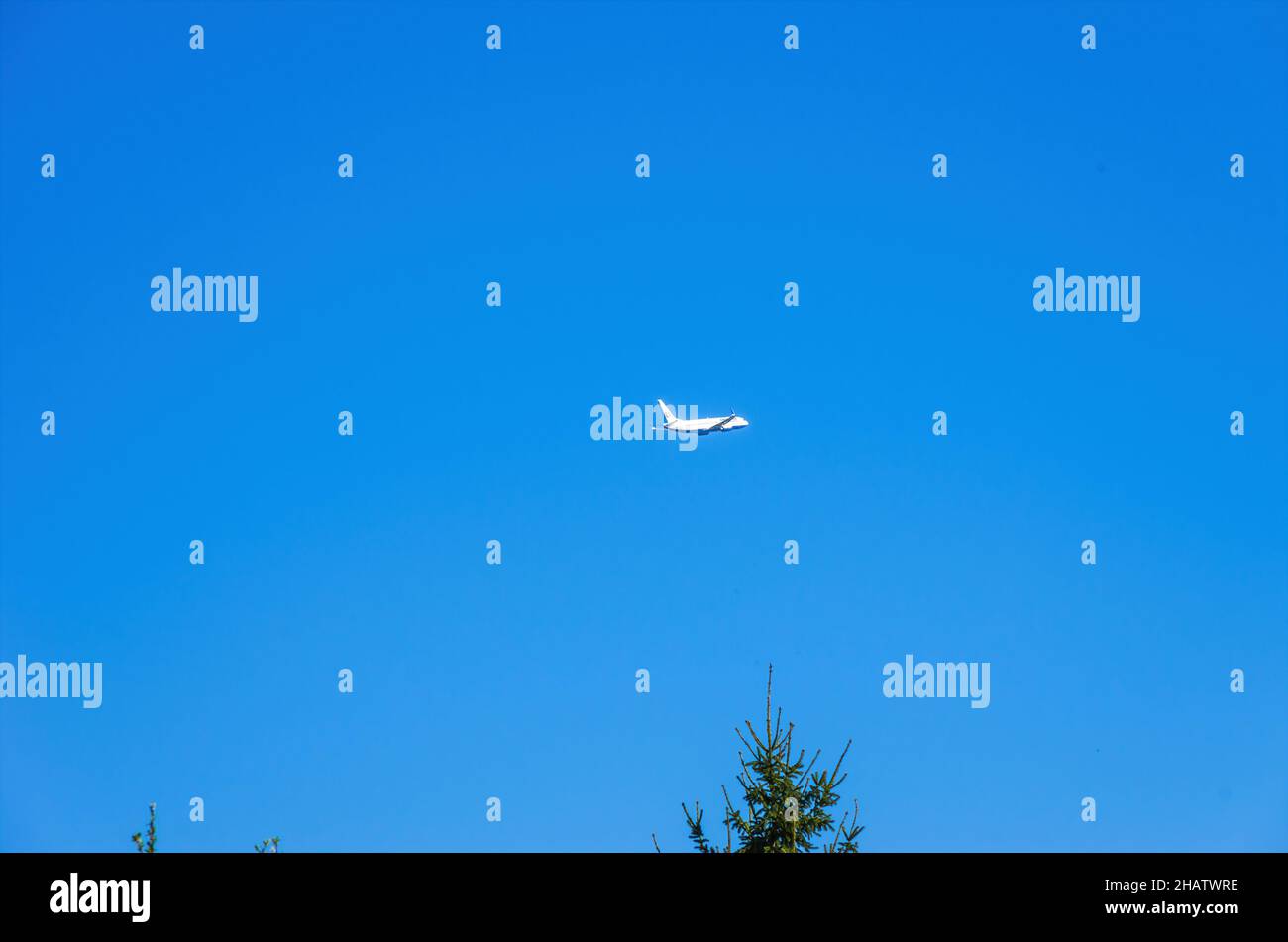 Dresden, Sachsen, Deutschland: Ein Flugzeug, das gerade am Flughafen Dresde-Klotzsche abfliegt, steigt über Baumwipfeln in die Luft. Stockfoto