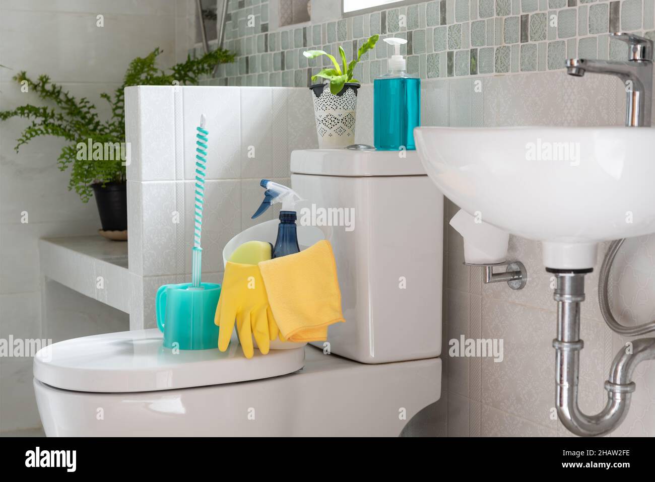 Korb mit Reinigungsmitteln auf Toilettenschüssel im modernen Badezimmer mit frischem grünen Farn im Zimmer Stockfoto