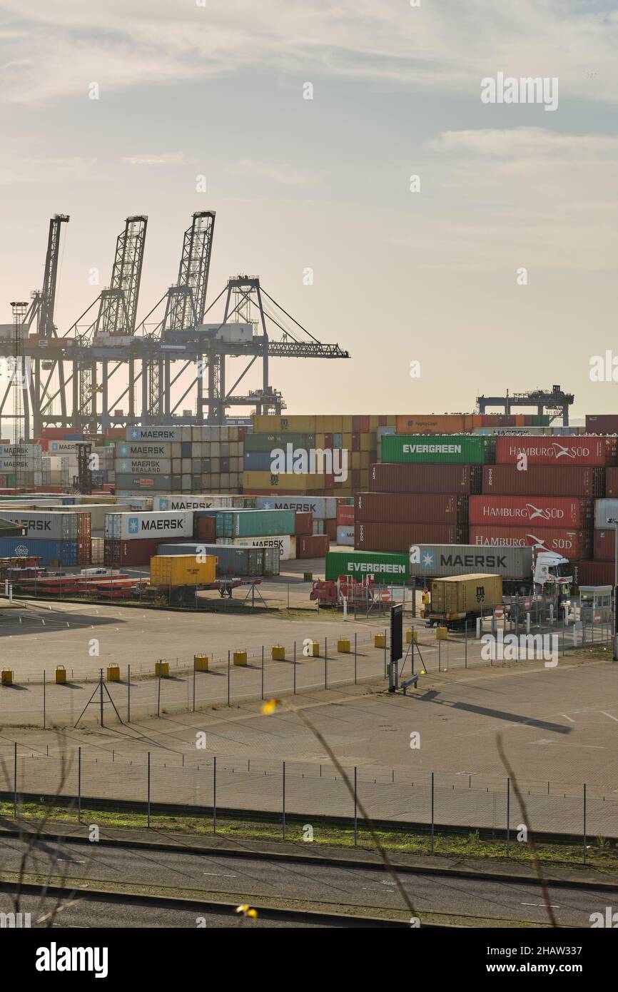 Im November 2021 werden an einem Wintermorgen Container im Trinity Terminal im Hafen von Felixstowe von Lastwagen umgestellt. Stockfoto