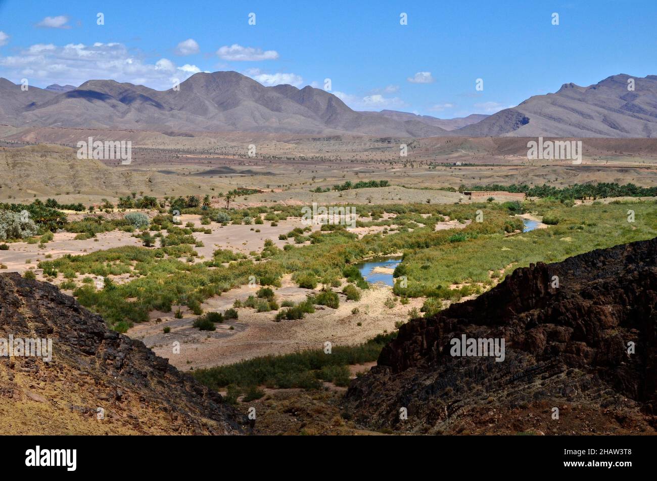 Draa-Tal mit Fluss- und Palmenhainen, Marokko Stockfoto