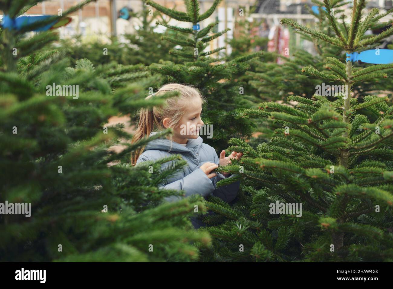 Kleines Mädchen wählt einen Weihnachtsbaum im Laden. Stockfoto