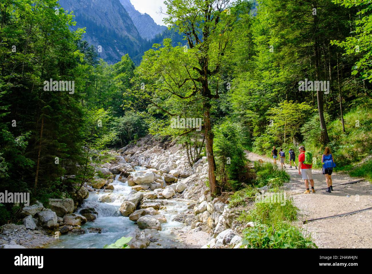 Hammersbach, auf dem Weg zur Höllentalklamm, bei Garmisch-Partenkirchen, Werdenfelser Land, Oberbayern, Bayern, Deutschland Stockfoto