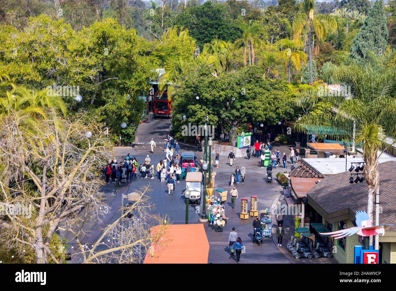SAN DIEGO, USA - 20. Nov 2021: Eine Aufnahme von Menschen aus dem San Diego Zoo Park, USA Stockfoto