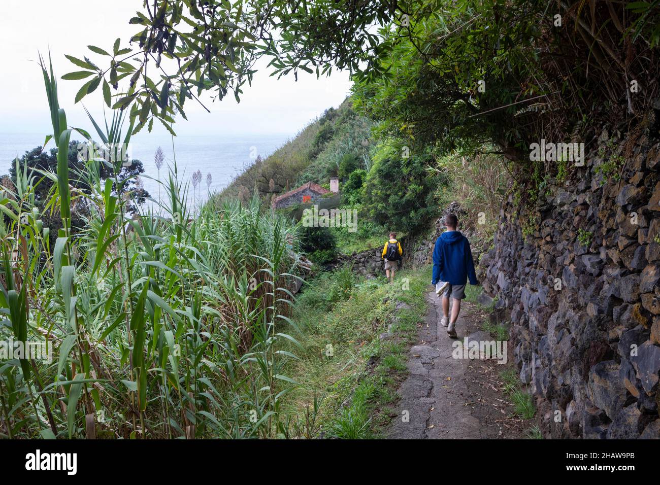 Wanderer auf dem Weg nach Rocha da Relva, Sao Miguel Island, Azoren, Portugal Stockfoto