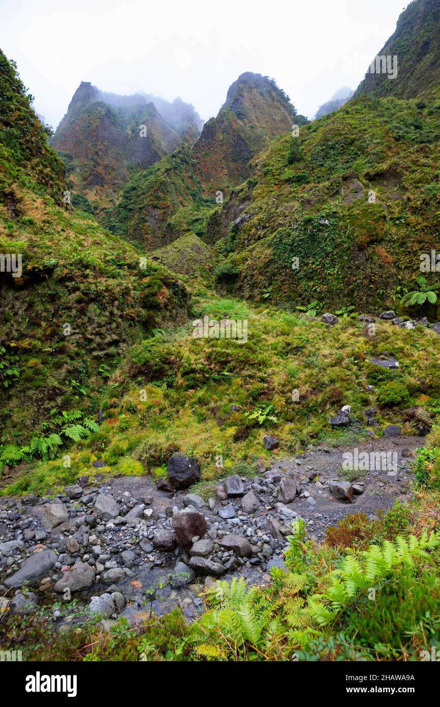 Flusslauf durch das neblige, wilde und romantische Tal von Vale das Lombadas, Serra de Aqua de Pau, Sao Miguel Island, Azoren, Portugal Stockfoto