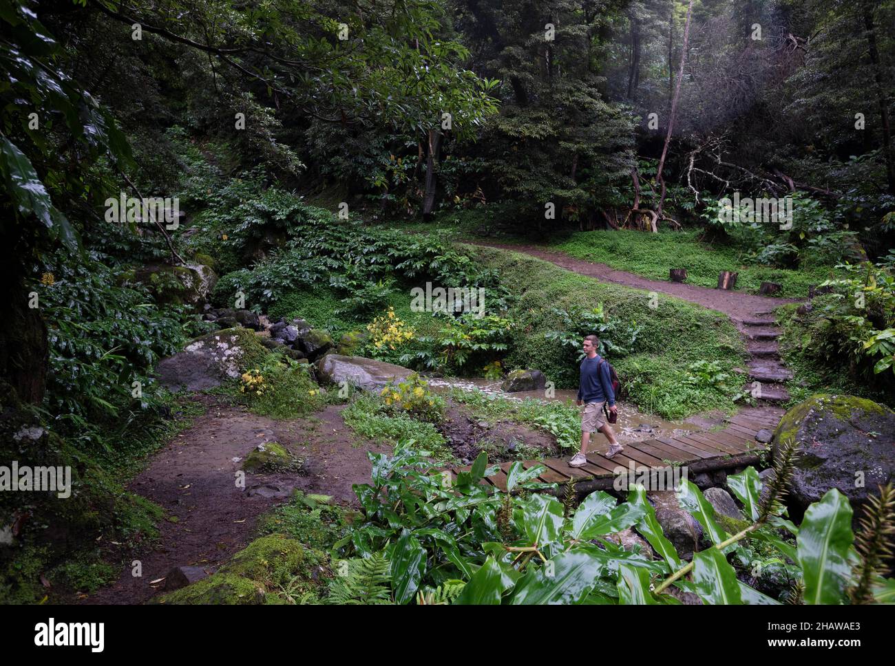 Wanderweg durch den Dschungel-ähnlichen Wald zum Wasserfall Salto do Prego, Faial da Terra, Sao Miguel Island, Azoren, Portugal Stockfoto