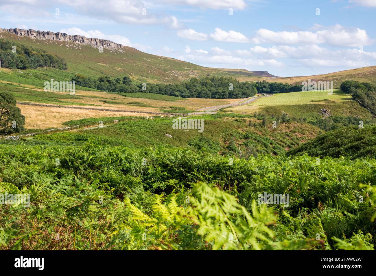 Die üppig grüne Landschaft des Hope Valley unter Stanage Edge, Peak District Stockfoto