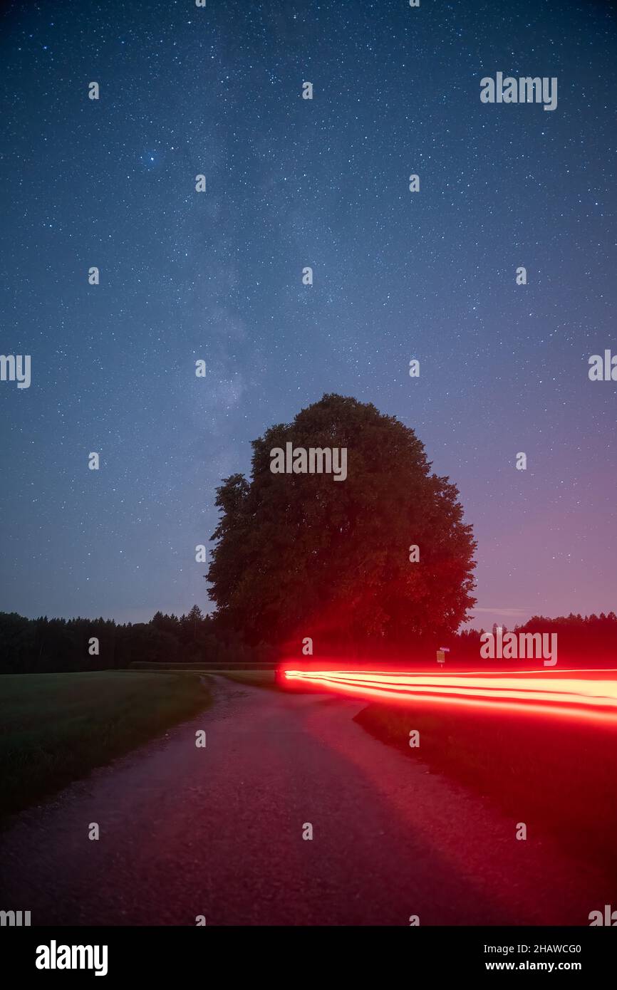 Milkyway über einem Baum mit roten Radwegen in einer sternenklaren Nacht. Stockfoto