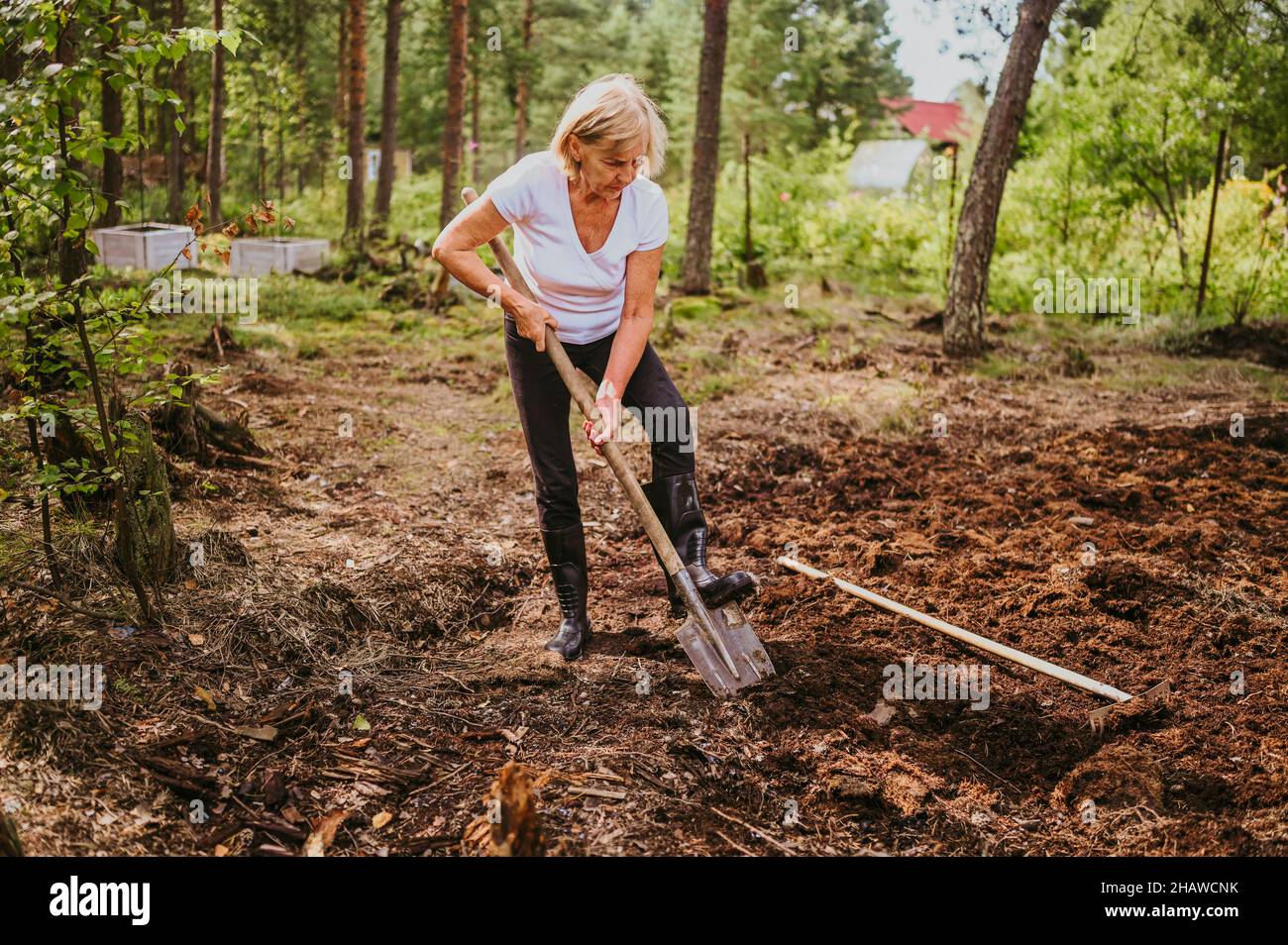 Ältere ältere ältere Gärtnerin, die im Sommer auf der Farm im Freien
