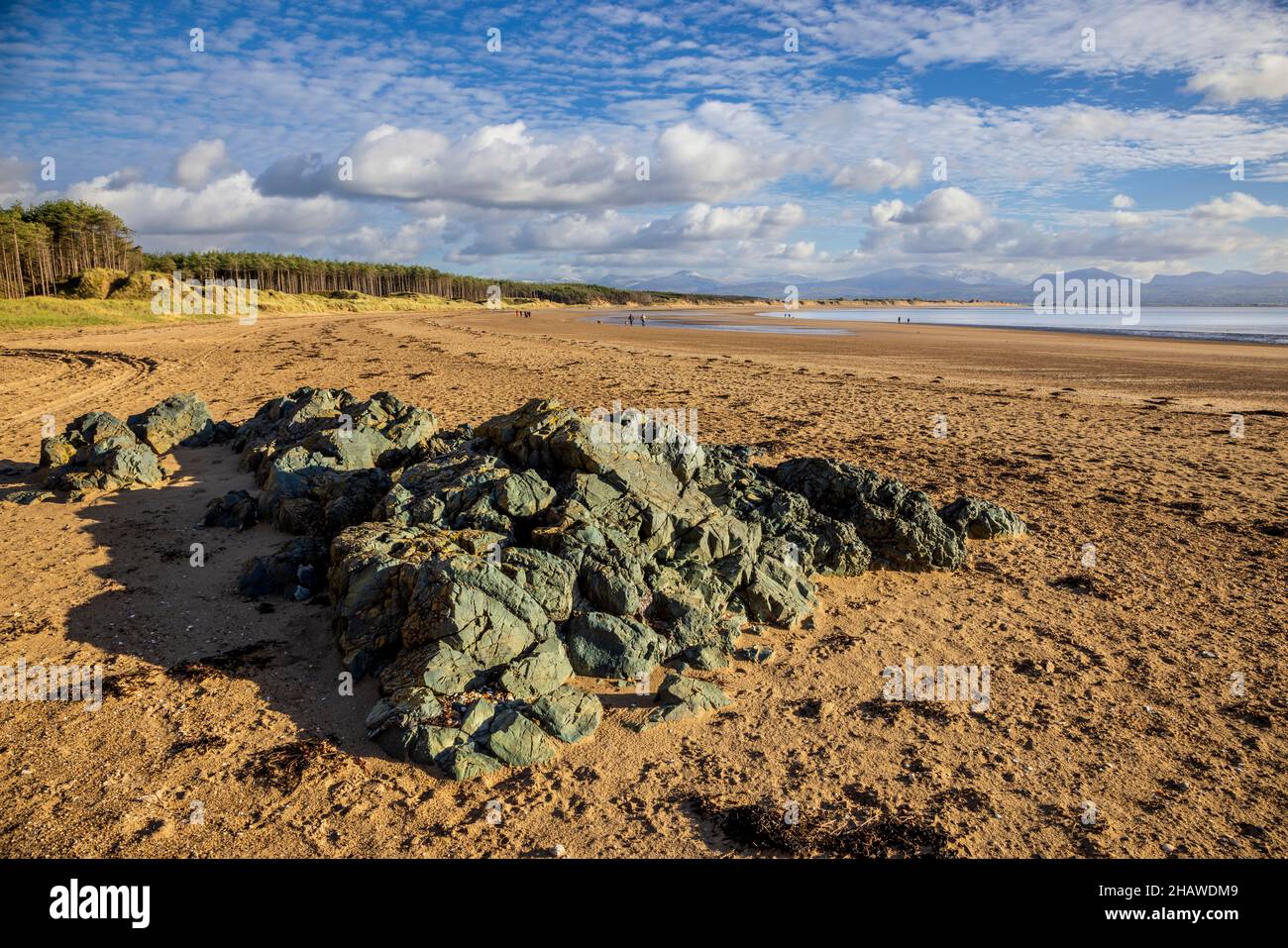 Basaltische Pillow Lava Felsen am Newborough Beach neben Llanddwyn Island, Isle of Anglesey, Nordwales Stockfoto