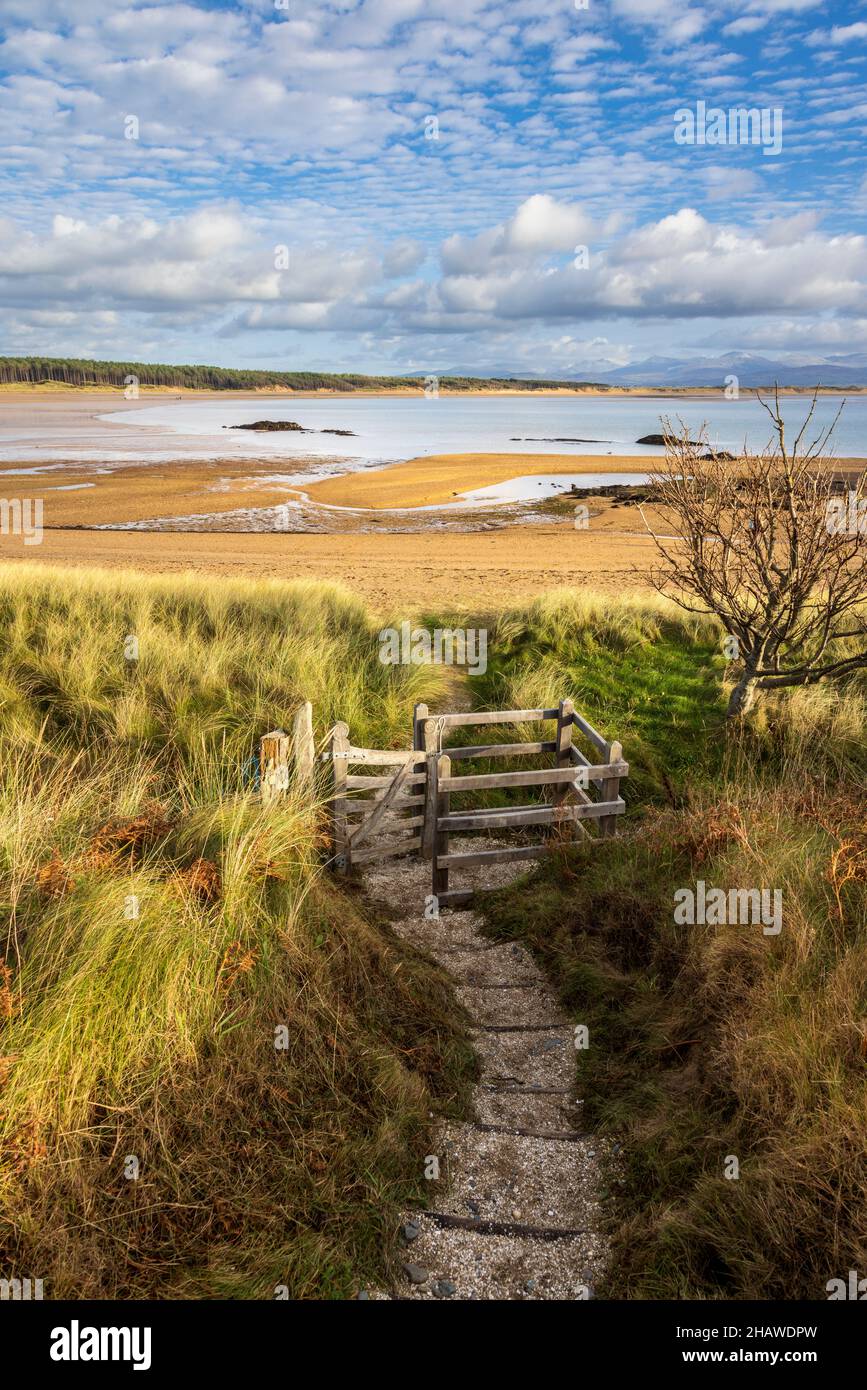 Ein Pfad und Tor, das von Llanddwyn Island, Isle of Anglesey, Nordwales, zum Newborough Beach führt Stockfoto