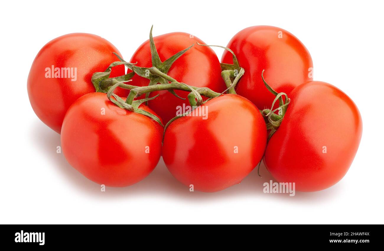 Tomate Zweig Pfad isoliert auf weißem Stockfoto