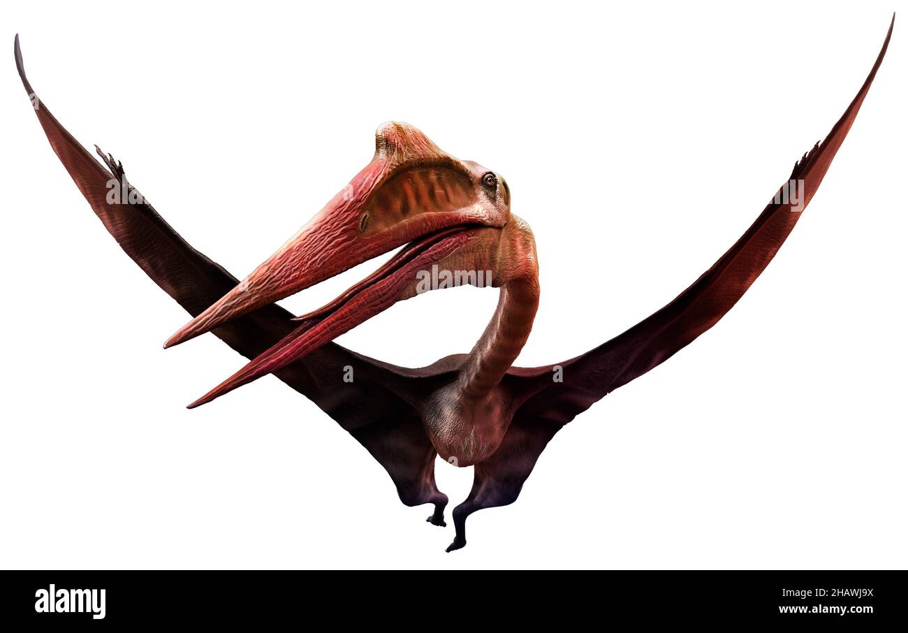 Quetzalcoatlus aus der Kreidezeit 3D Illustration Stockfoto