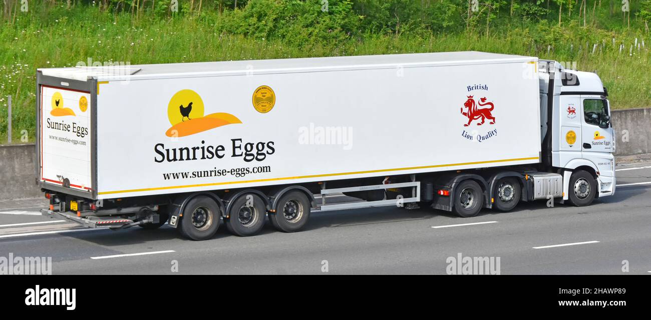 Seitenansicht eines weißen lkw-Lieferkettenwagens mit LKW-LKW und Sattelauflieger mit Werbung für das Business-Logo der Sunrise Egg Food Company M25 motorway UK Stockfoto
