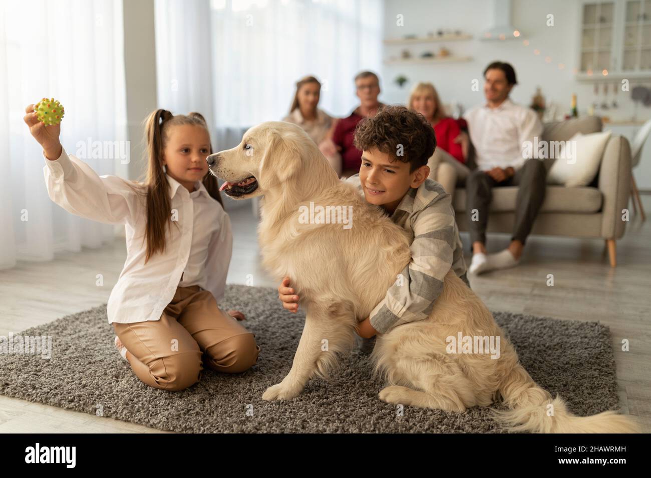 Niedliche Kinder, die zu Hause mit ihrem goldenen Retriever auf dem Boden spielen, ihre Verwandten auf der Couch auf dem Hintergrund sitzen Stockfoto