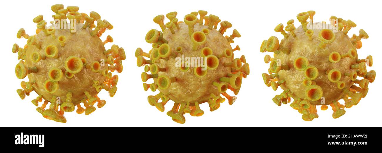 COVID-19 Corona-Virus und texturierte Details mit unterschiedlicher Ansicht auf weißem isolierten Hintergrund . 3D Rendering . Eingebetteter Beschneidungspfad Stockfoto