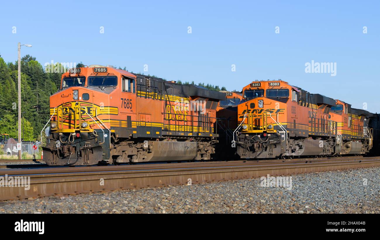 Seattle - 23. Juli 2018; mehrere BNSF-Lokomotiven in Seattle. Die Züge fahren auf mehreren Strecken unter einem klaren, sommerblauen Himmel Stockfoto