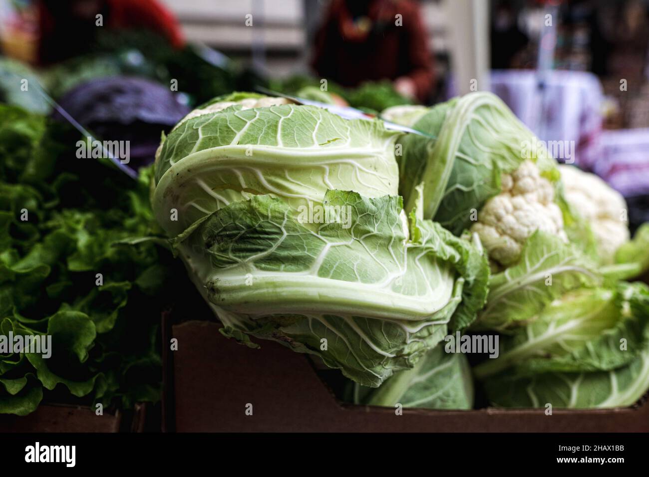 Bild mit geringer Schärfentiefe (selektiver Fokus) und frischem Bio-Salat zum Verkauf auf einem Markt im Freien in Bukarest, Rumänien. Stockfoto