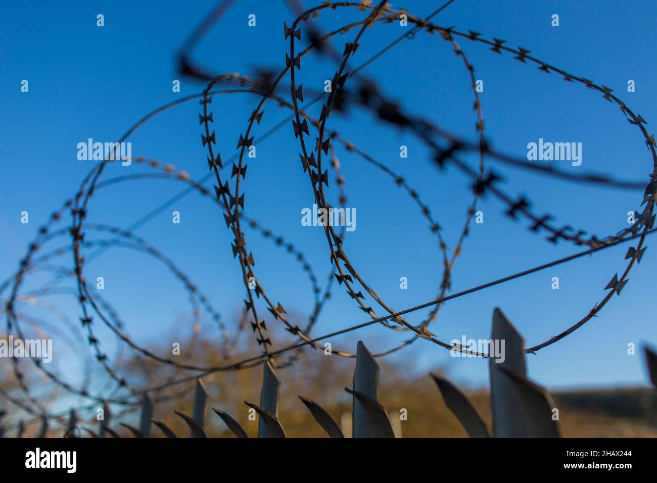 Stacheldraht Aus Metall Stockfotos Und -Bilder Kaufen - Alamy