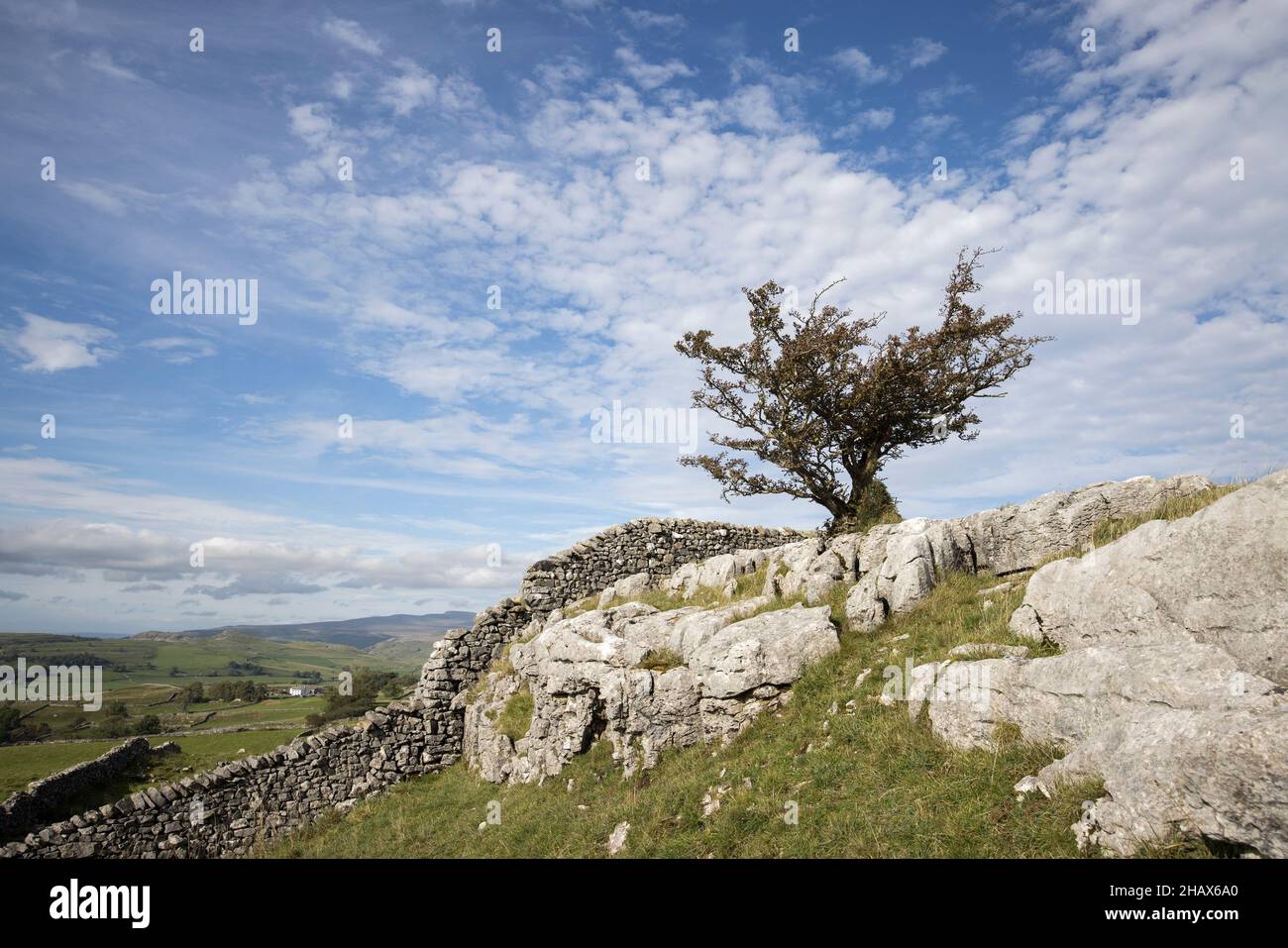 Winskill Stones Nature Reserve, Yorkshire Dales, Großbritannien Stockfoto