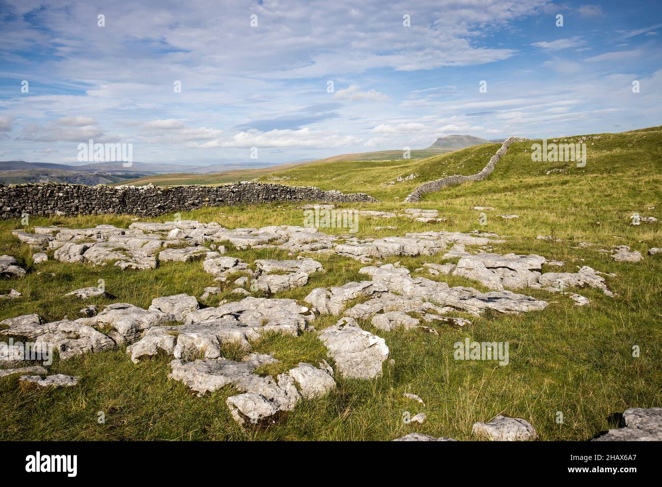 Winskill Stones Nature Reserve, Yorkshire Dales, Großbritannien Stockfoto