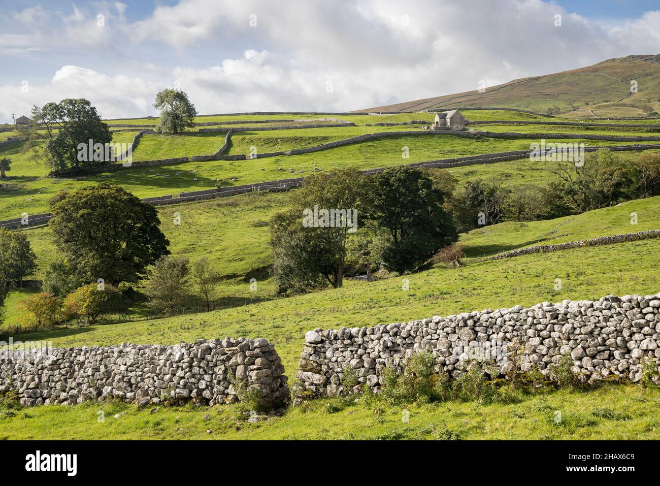 Scheune und Trockenmauern, Malham, Yorkshire Dales, Großbritannien Stockfoto