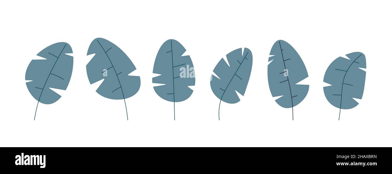 Set von geschnitzten Blättern der dekorativen Cartoon-Pflanze. Abgerundetes Blatt mit Ausschnitten an den Seiten. Vektor isoliert auf weißem Hintergrund für Design. Stock Vektor