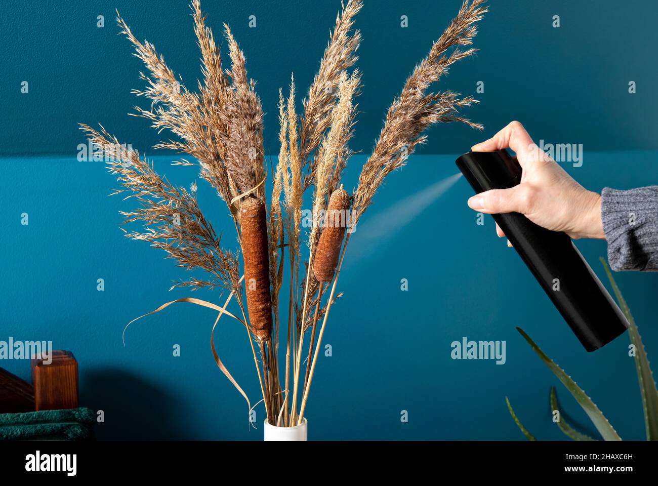 Person mit Haarspray für die Erhaltung getrockneten natürlichen verschiedenen Graspflanzen Verbreitung von Samen und Streuung in zu Hause. Stockfoto