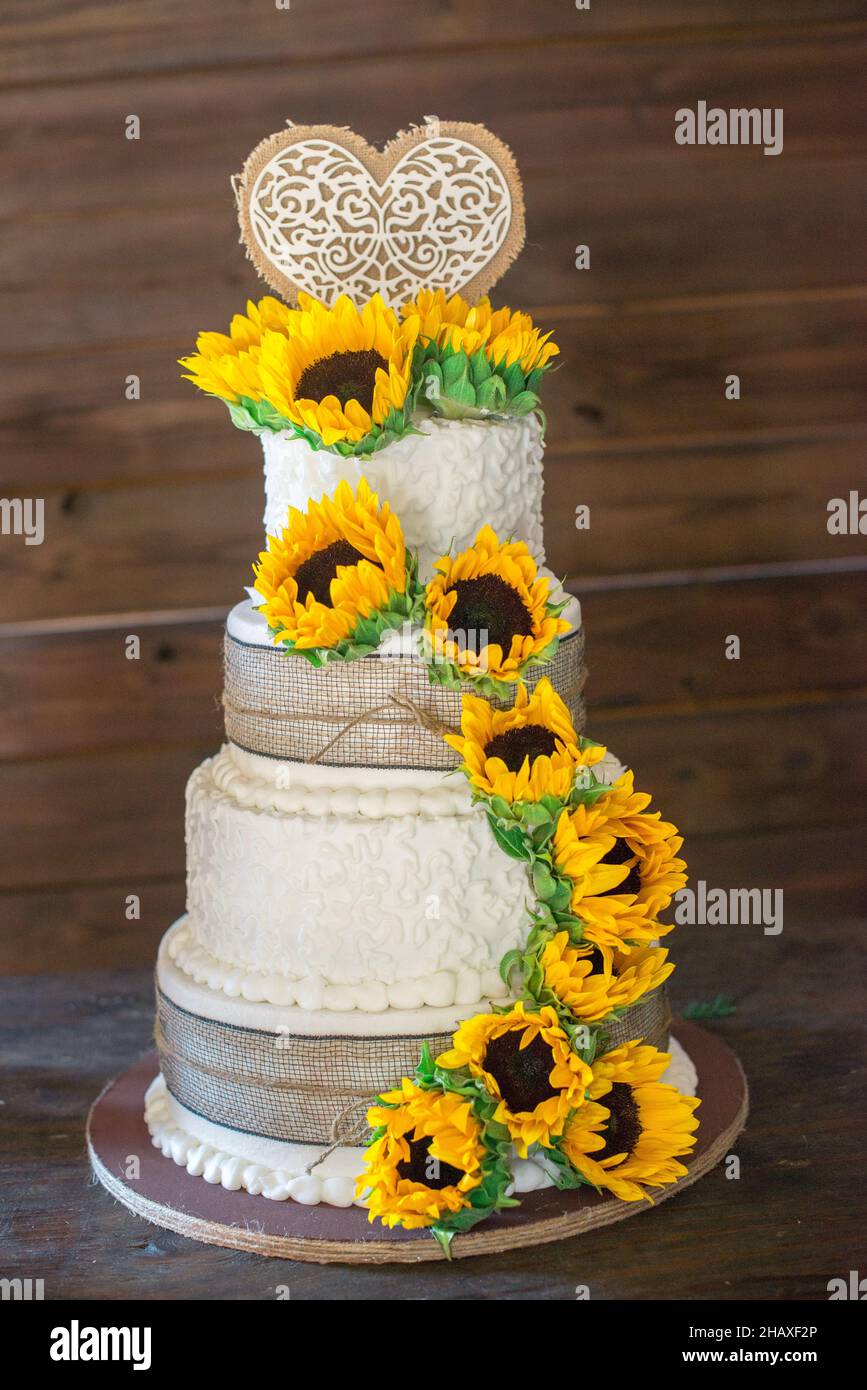 Vierstufiger weißer Hochzeitstorte mit Sonnenblumen-Dekorationen und Herzkuchenauflage Stockfoto