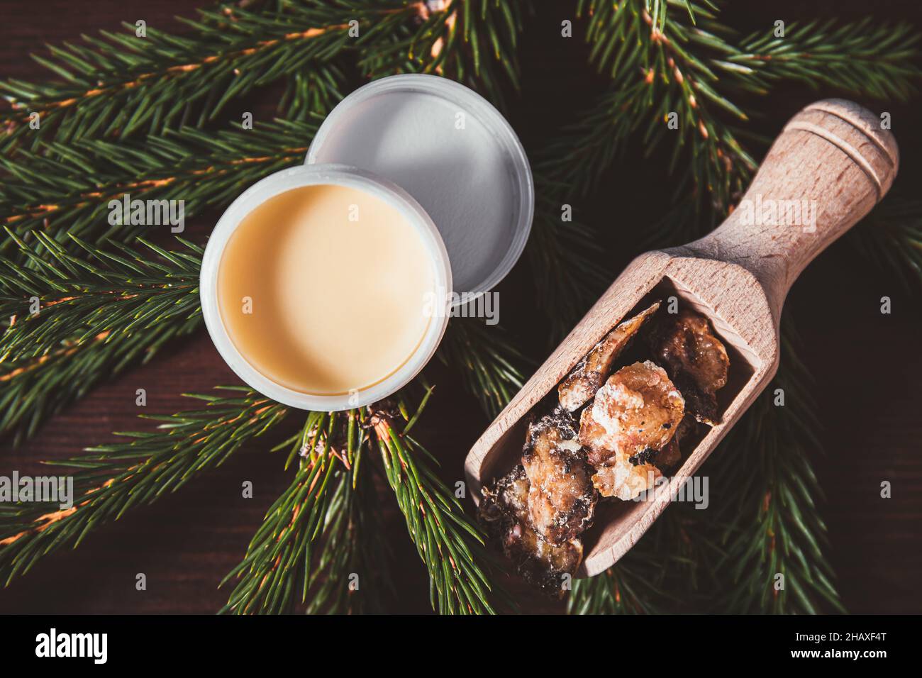 Fichtenbaum Picea abies Kräuterharz Lotion in Glas und Stücke auf Holzlöffel, mit frischen Fichtenzweige verziert. Mit Fichtenharz. Stockfoto