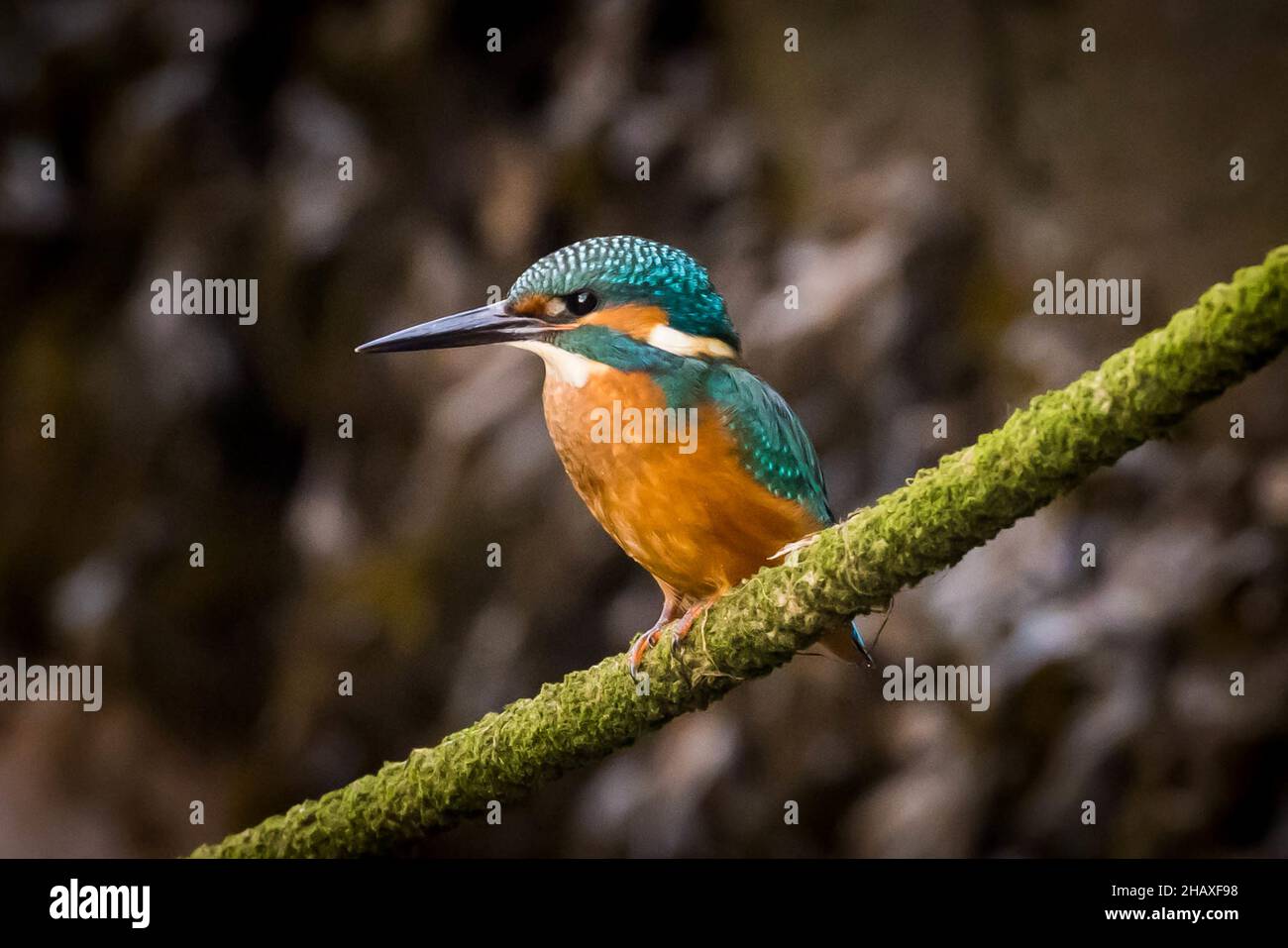 Eisfischer sitzt auf einem Seil Stockfoto