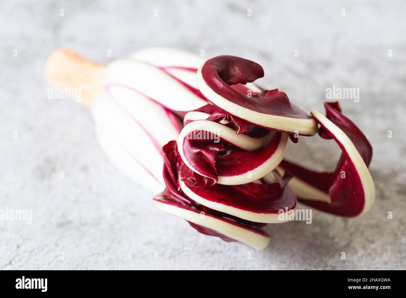 Radicchio Rosso di Treviso. Leuchtendes Rot mit einem leicht bitteren Geschmack, Radicchio Rosso di Treviso g.g.A. verwendet natürliches Quellwasser, um seine Parti herauszubringen Stockfoto