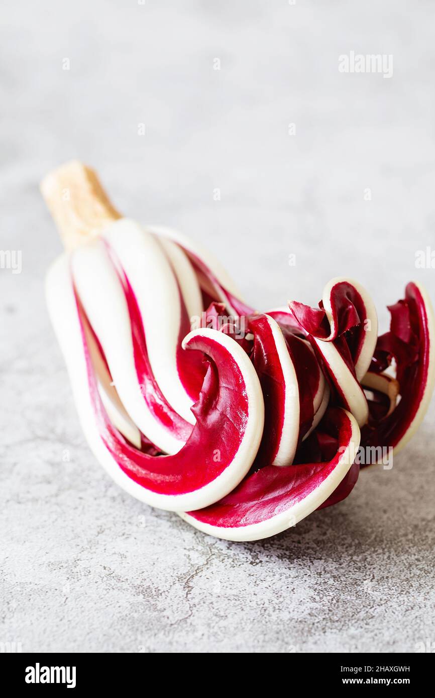 Radicchio Rosso di Treviso. Leuchtendes Rot mit einem leicht bitteren Geschmack, Radicchio Rosso di Treviso g.g.A. verwendet natürliches Quellwasser, um seine Parti herauszubringen Stockfoto