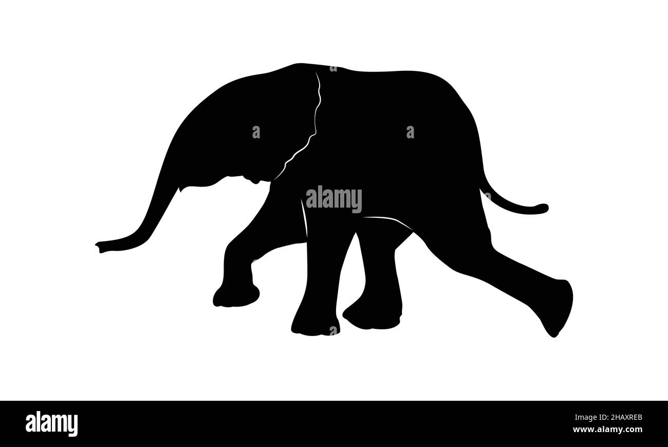 Elefantenfamilie auf weißem Hintergrund. ElefantenSilhouette. Stock Vektor