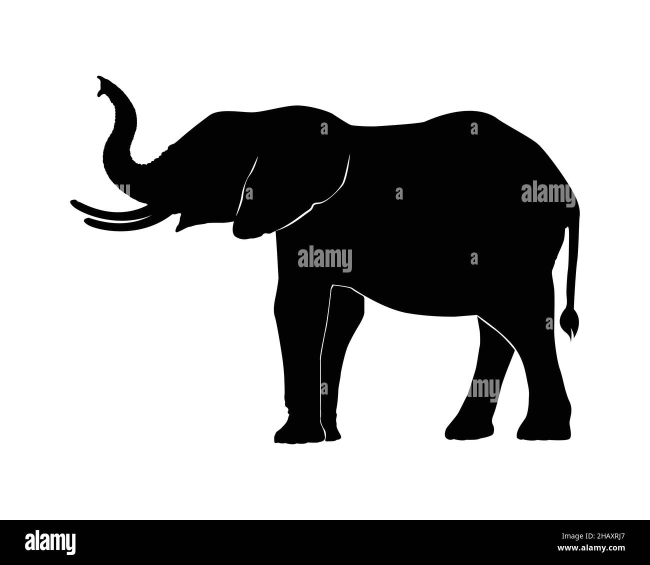 Elefantenfamilie auf weißem Hintergrund. ElefantenSilhouette. Stock Vektor