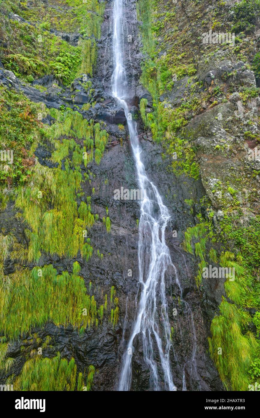 Levada dos 25 fontes, Madeira, Portugal Stockfoto