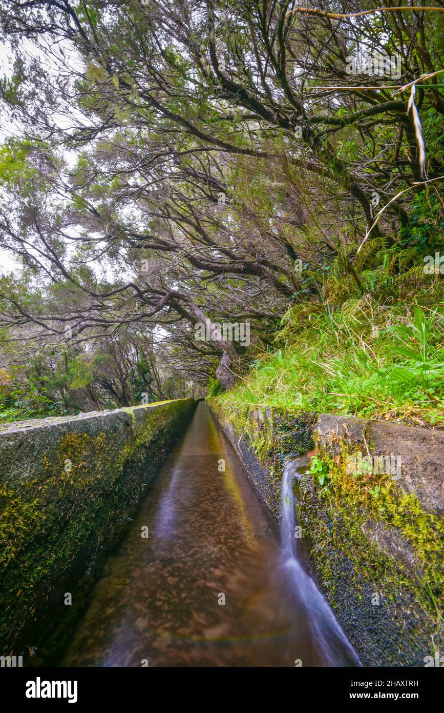 Levada dos 25 fontes, Madeira, Portugal Stockfoto