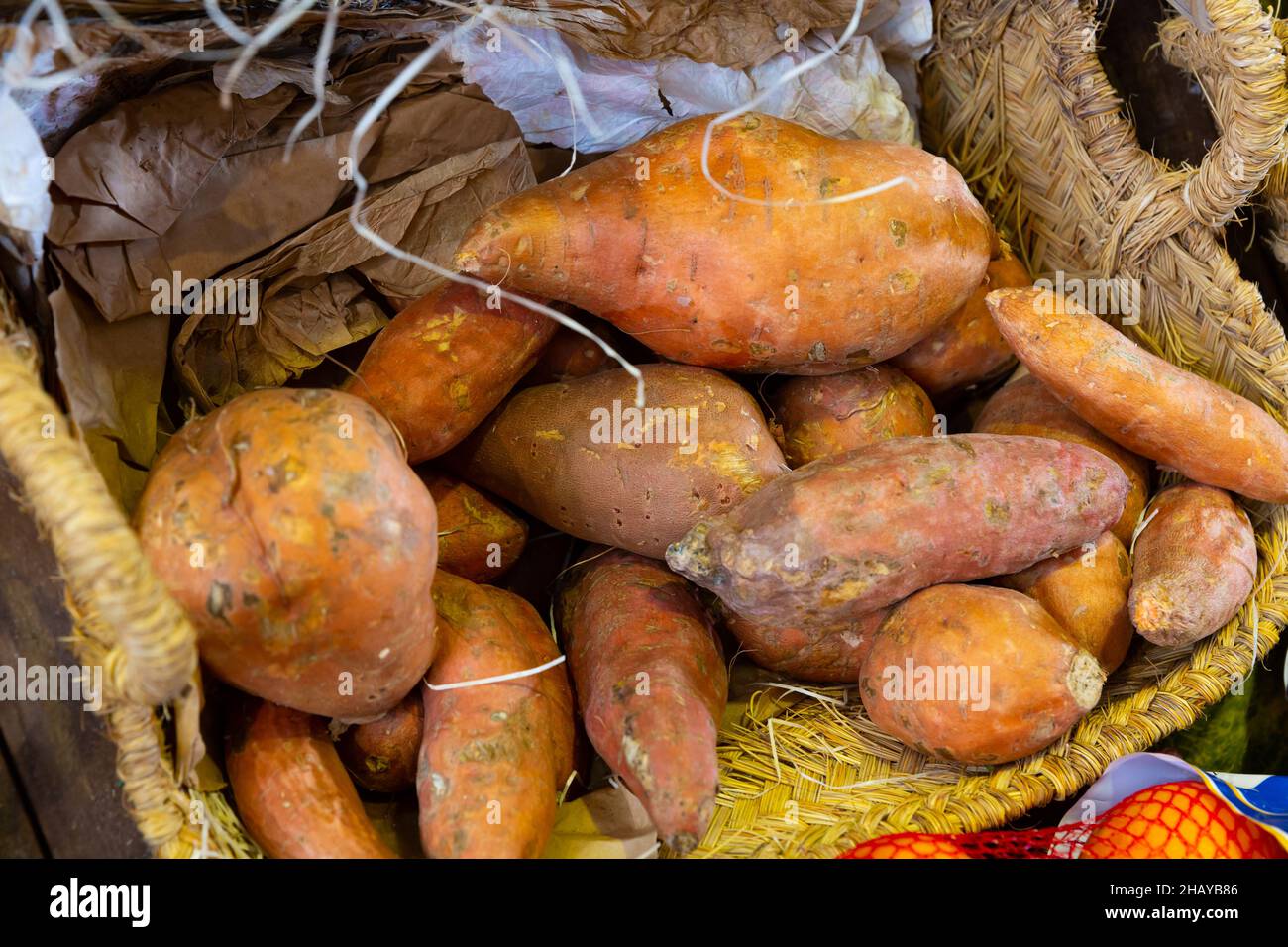 Gemüse-, Ernte-, Lebensmittel- und Verkaufskonzept - Nahaufnahme von Süßkartoffeln Stockfoto