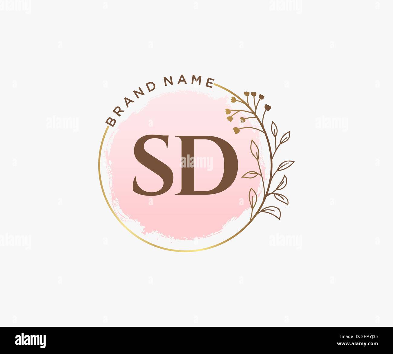 Feminines SD-Logo. Verwendbar für Natur, Salon, Spa, Kosmetik und Beauty Logos. Flaches Vektor-Logo-Design-Template-Element. Stock Vektor