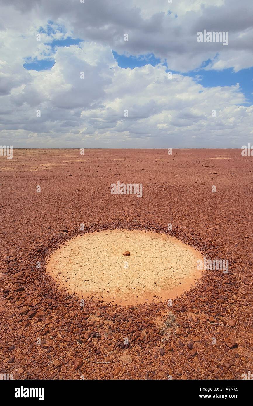 Von Menschen gemachter Steinkreis in den Gibber-Ebenen, Australien Stockfoto